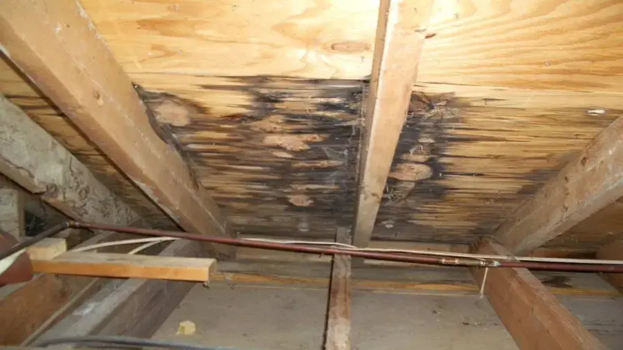 Water stains spreading across attic roof decking from a roof leak