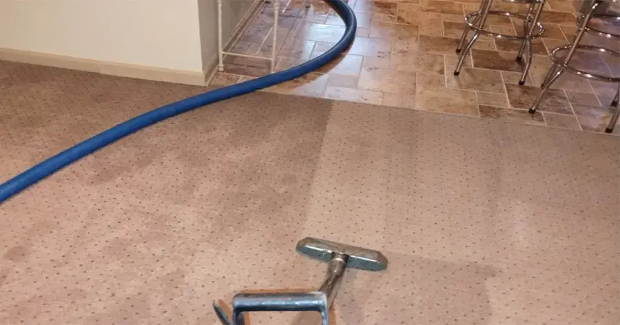 Extraction wand and hose pulling water out of wet carpet in a Charlotte home